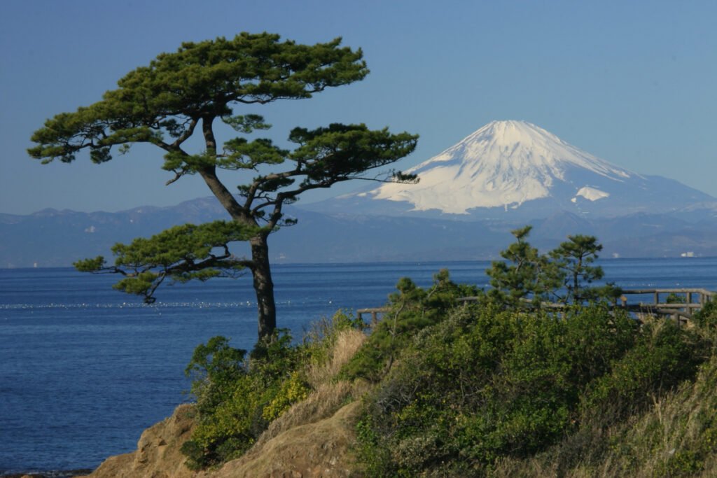 🏞️ 입석 공원(타테이시 코우엔) 이미지 8